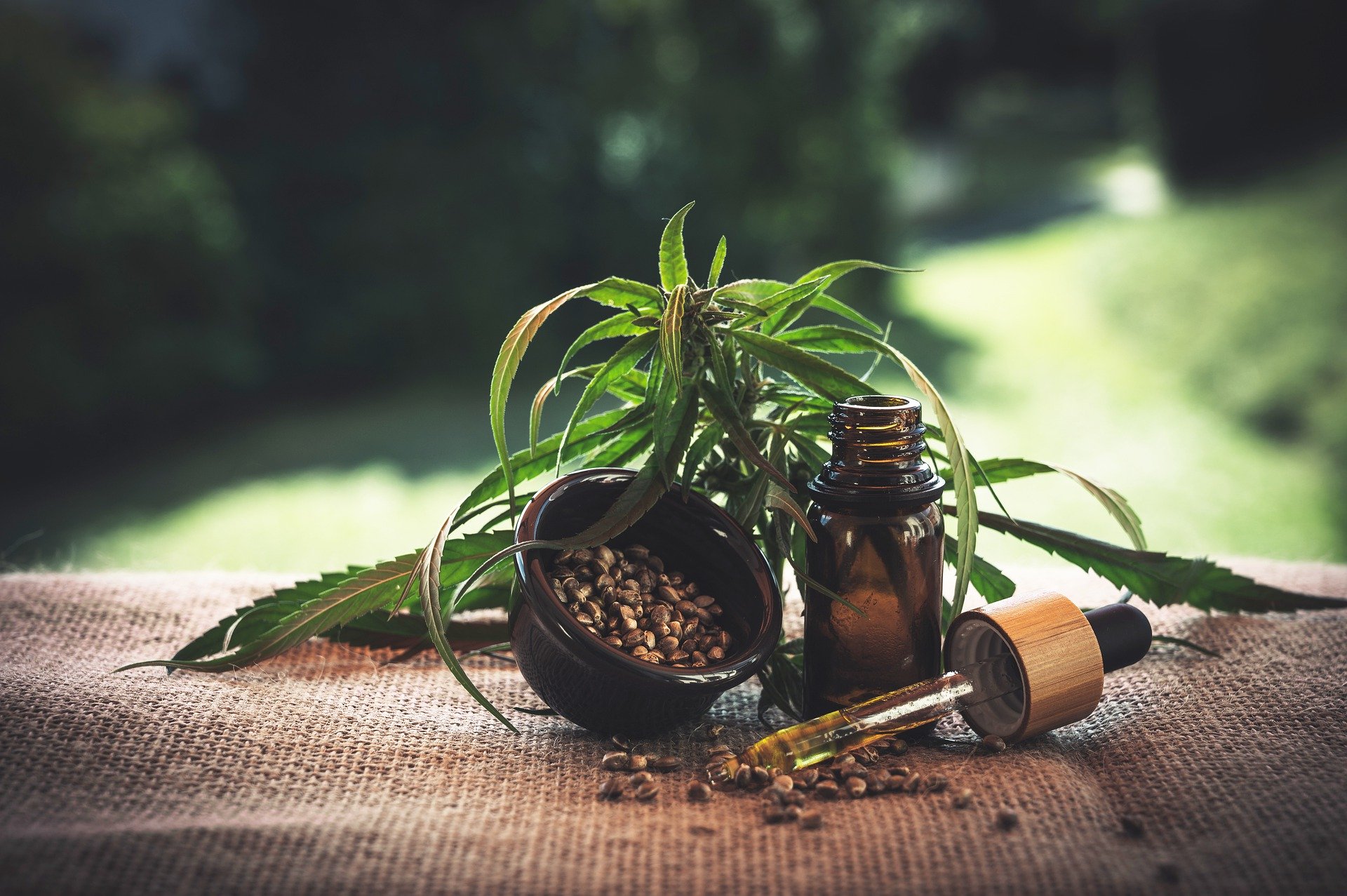 When Is the Best Time to Take CBD Oil?